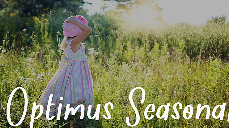 Optimus Seasonal Font