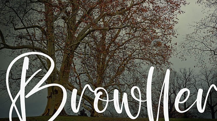 Browller Font