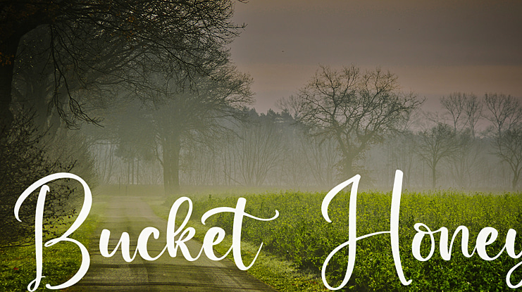 Bucket  Honey Font