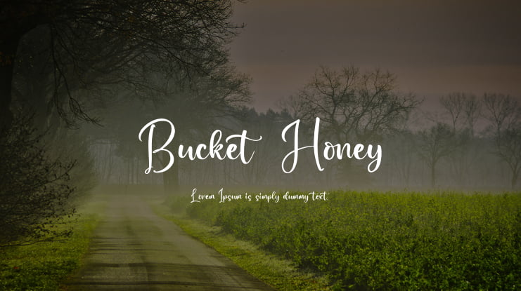 Bucket  Honey Font
