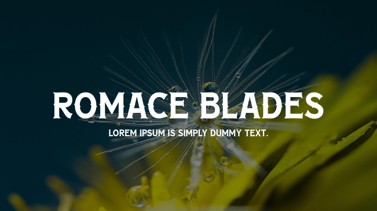 ROMACE BLADES Font