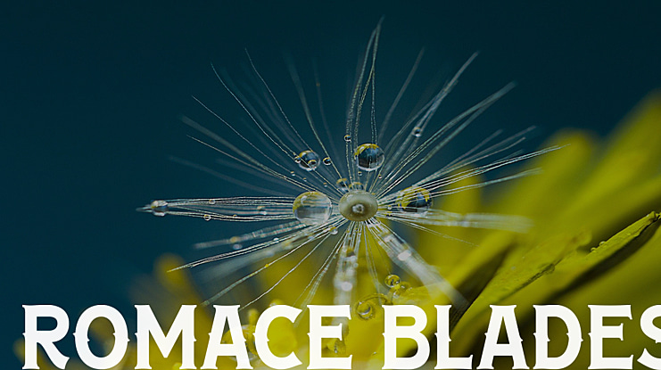ROMACE BLADES Font