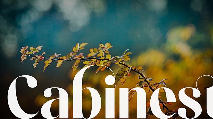 Cabinest Font