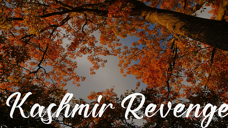 Kashmir Revenge Font