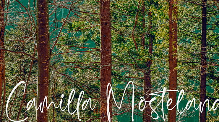 Camilla Mosteland Font