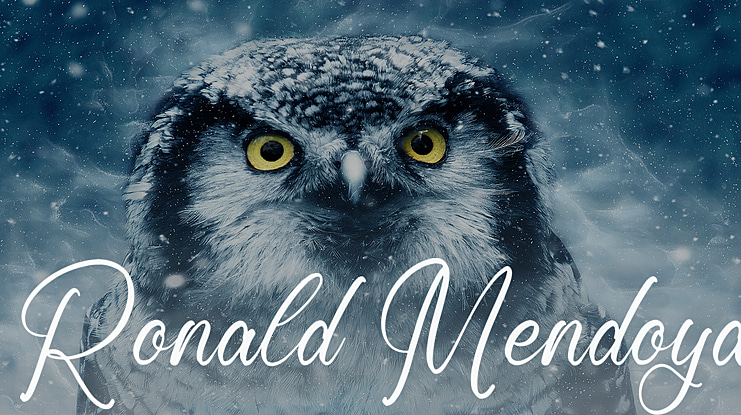 Ronald Mendoya Font