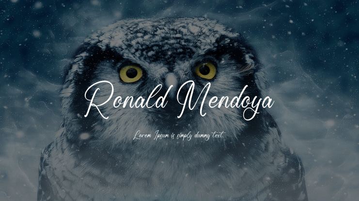 Ronald Mendoya Font