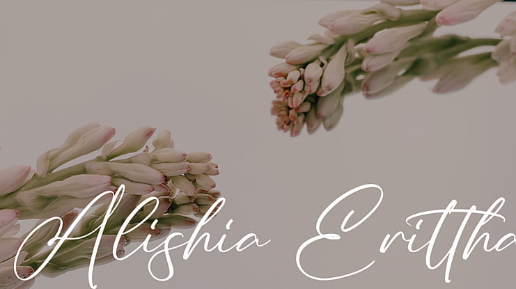 Alishia Erittha Font