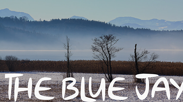 The Blue Jay Font