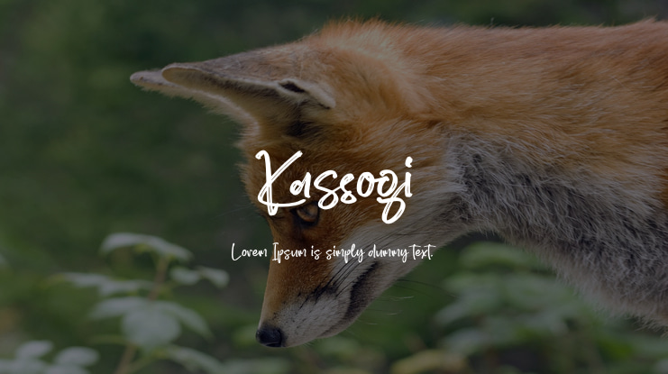 Kassogi Font
