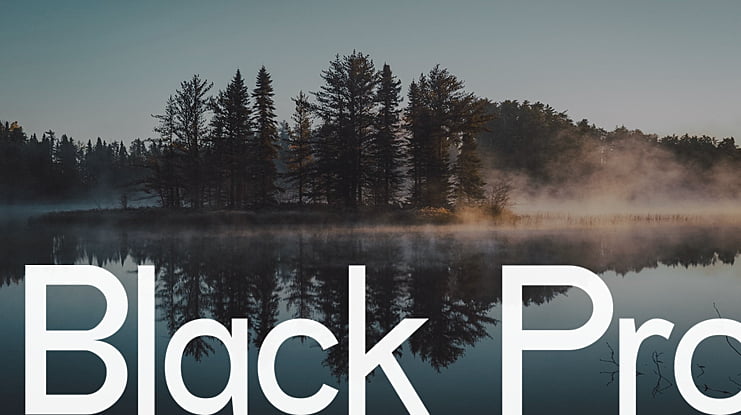 Black Pro Font
