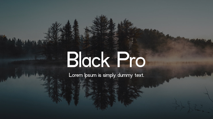 Black Pro Font