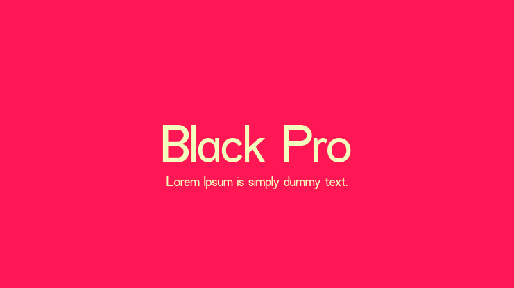 Black Pro Font
