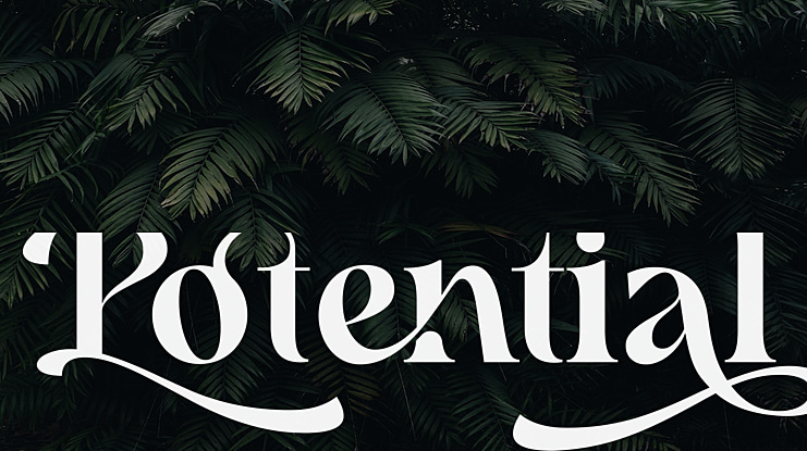 Potential Font Family