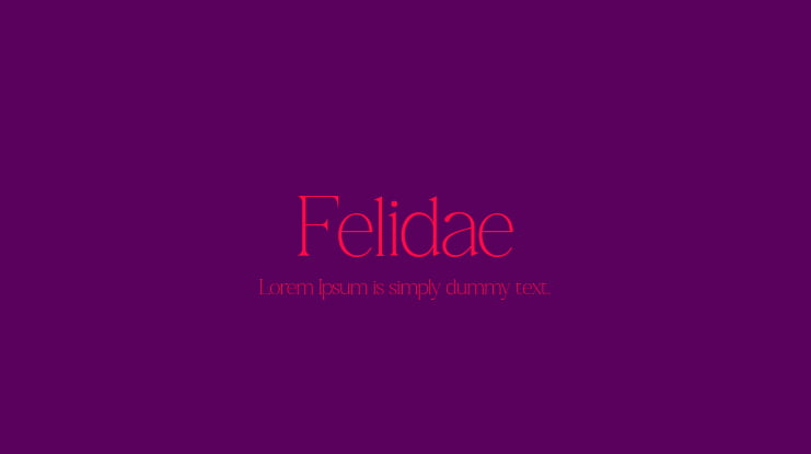 Felidae Font