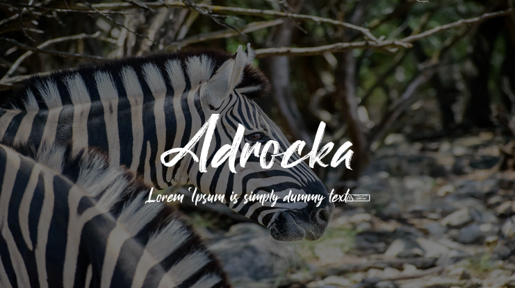 Adrocka Font