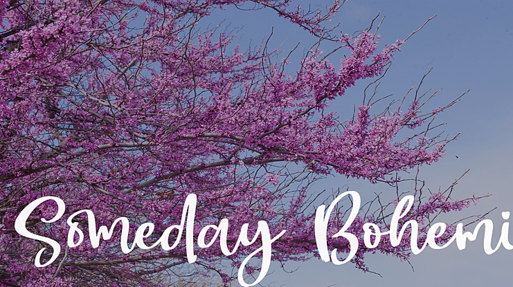 Someday Bohemi Font