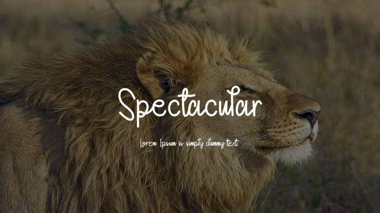 Spectacular Font