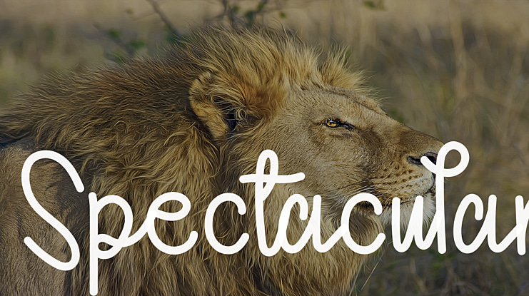 Spectacular Font