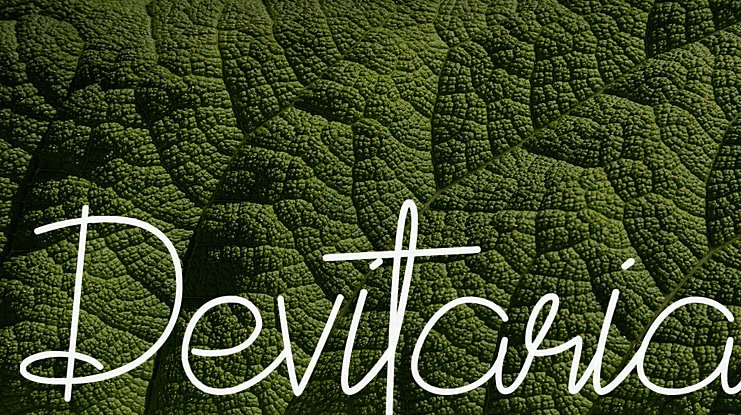 Devitaria Font