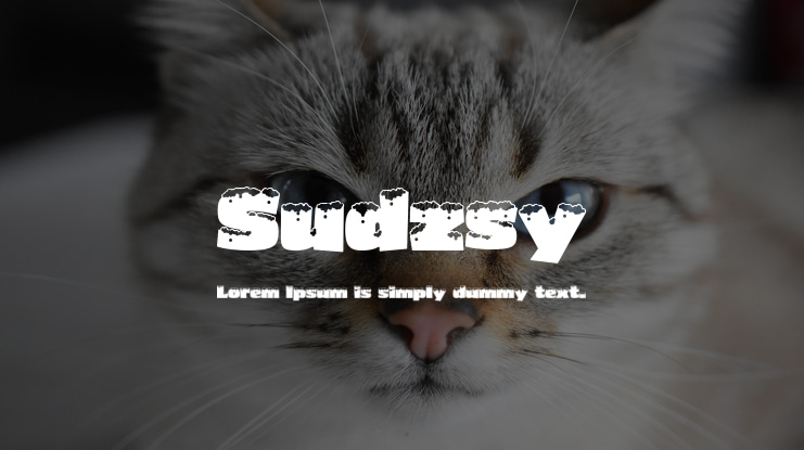 Sudzsy Font