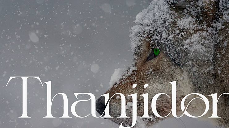 Thanjidor Font