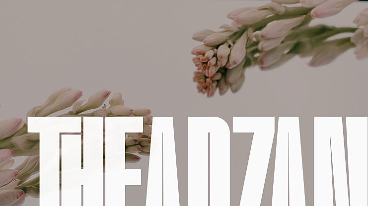 Theadzan Font