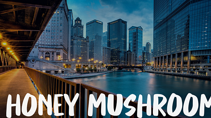 Honey Mushroom Font