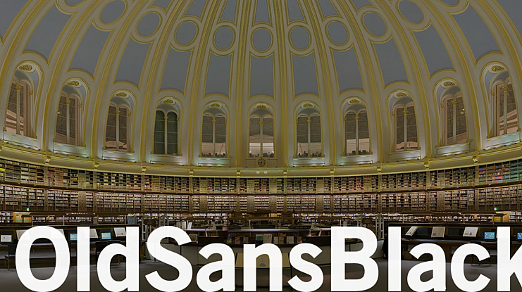 Old Sans Black Font Family