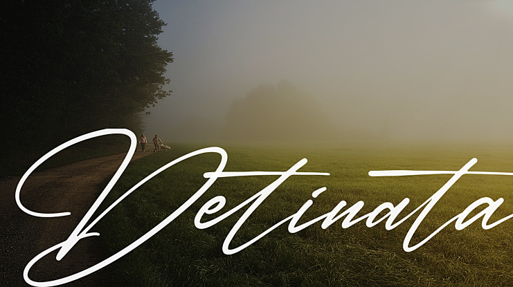 Detinata Font