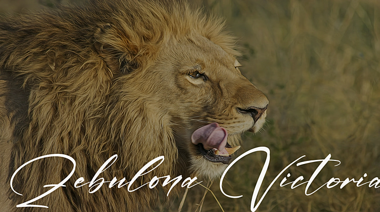 Zebulona Victoria Font