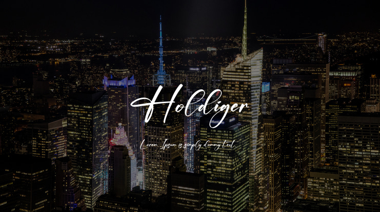 Holdiger Font