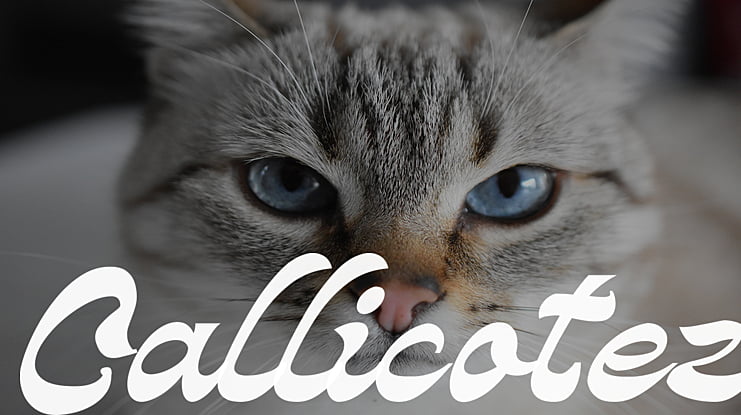 Callicotez Font