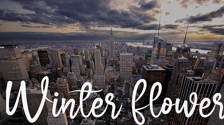 Winter Flower Font