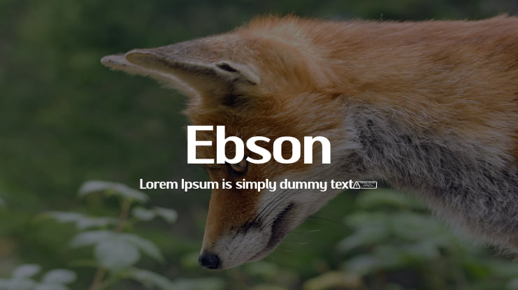Ebson Font