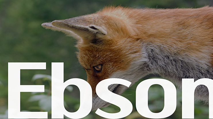Ebson Font