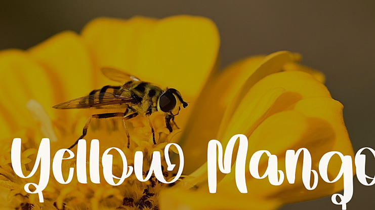 Yellow Mango Font