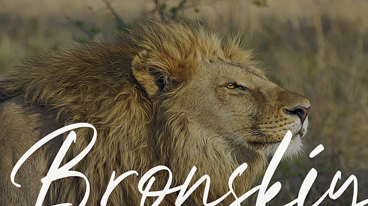 Bronskiy Font