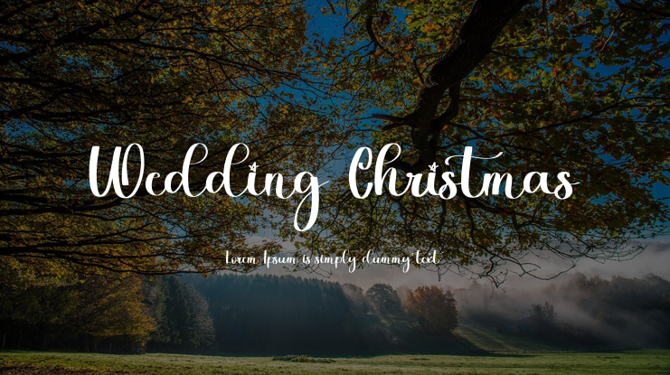 Wedding Christmas Font