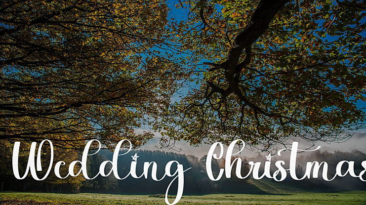 Wedding Christmas Font