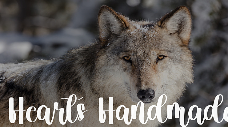 Hearts Handmade Font