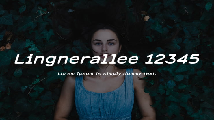Lingnerallee 12345 Font