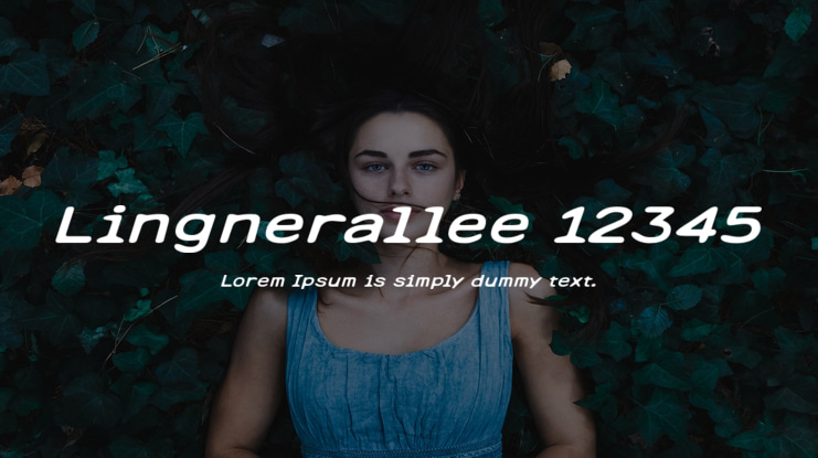 Lingnerallee 12345 Font