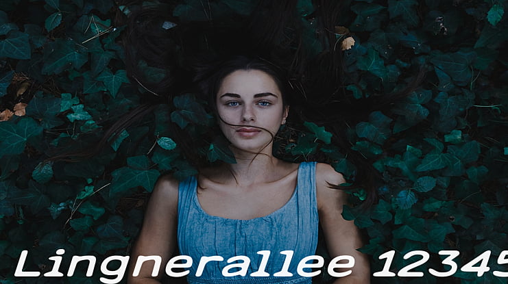 Lingnerallee 12345 Font