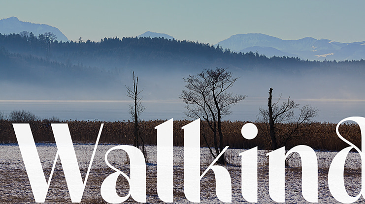 Walkind Font