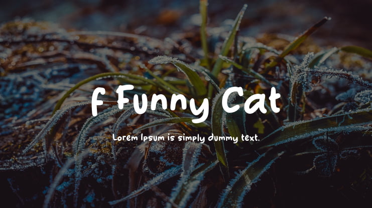 f Funny Cat Font