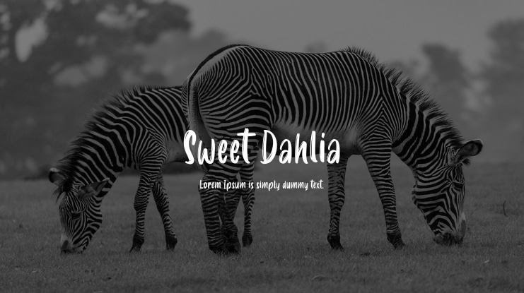 Sweet Dahlia Font