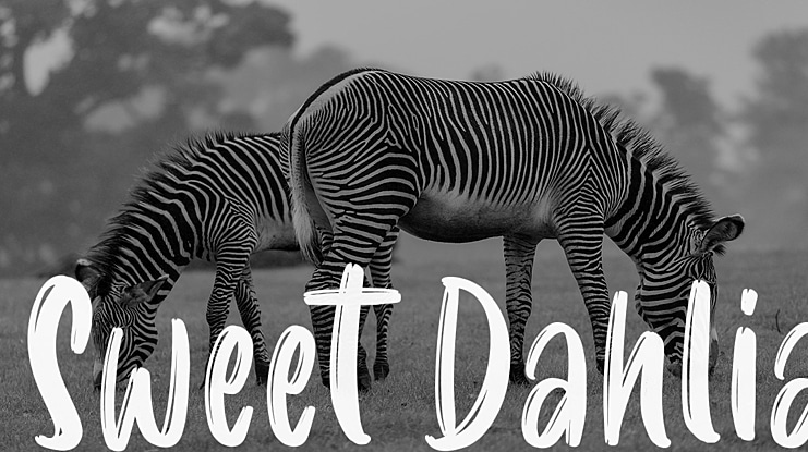 Sweet Dahlia Font