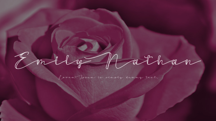 Emily Nathan Font
