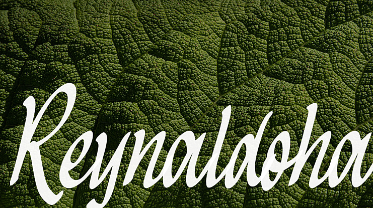 Reynaldoha Font